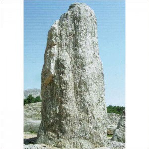 觀賞石-1000